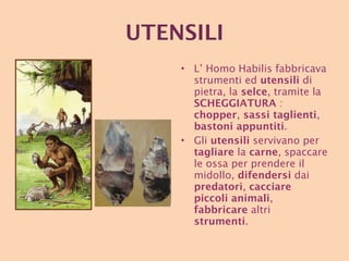 UTENSILI L’ Homo Habilis fabbricava strumenti ed  utensili  di pietra, la  selce , tramite la  SCHEGGIATURA  :  chopper ,  sassi taglienti ,  bastoni appuntiti .  Gli  utensili  servivano per  tagliare  la  carne , spaccare le ossa per prendere il midollo,  difendersi  dai  predatori ,  cacciare piccoli animali ,  fabbricare  altri  strumenti . 