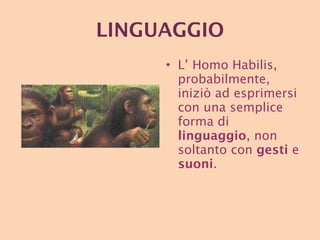 LINGUAGGIO L’ Homo Habilis, probabilmente, iniziò ad esprimersi con una semplice forma di  linguaggio , non soltanto con  gesti  e  suoni . 