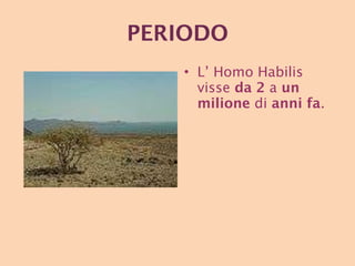 PERIODO L’ Homo Habilis visse  da 2  a  un milione  di  anni fa . 