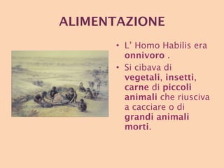 ALIMENTAZIONE L’ Homo Habilis era  onnivoro  . Si cibava di  vegetali ,  insetti ,  carne  di  piccoli   animali  che riusciva a cacciare o di  grandi animali morti . 