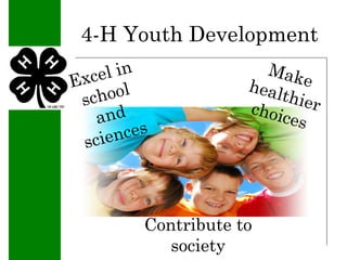 4-H Youth Development | PPT