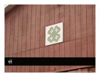 4H
     http://www.flickr.com/photos/davekekish/234434981/
 