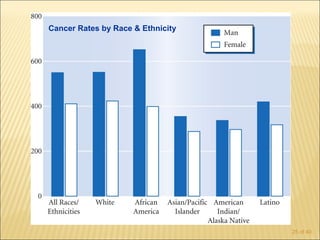 Cancer Rates by Race & Ethnicity




                                   25 of 40
 