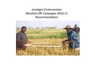 stratégie d’intervention
Résultats SRI Campagne 2010-11
       Recommandation
 