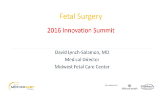 Fetal Surgery
2016 Innovation Summit
David Lynch-Salamon, MD
Medical Director
Midwest Fetal Care Center
 