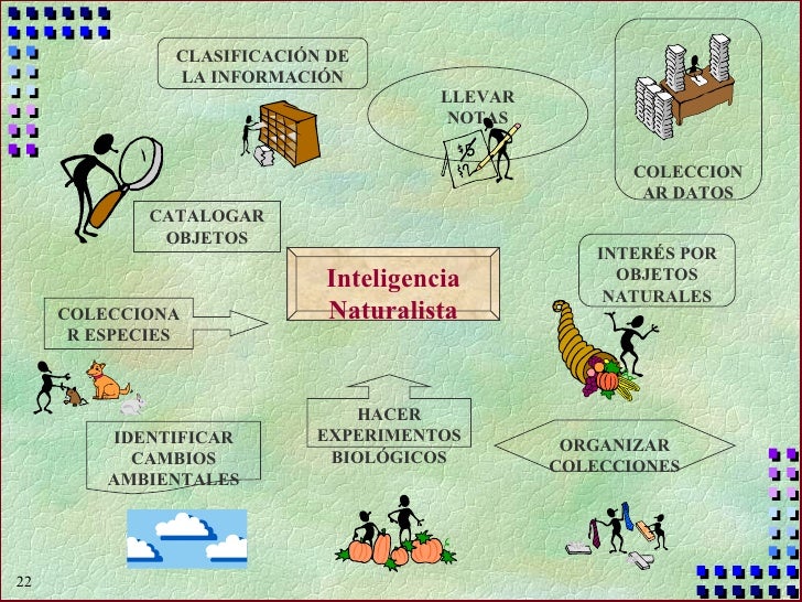Resultado de imagen para mapa mental de inteligencia naturalista