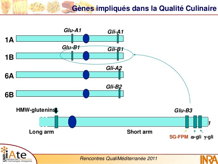 Rencontres qualite efficience
