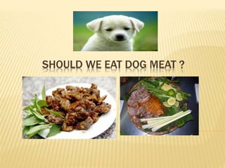 SHOULD WE EAT DOG MEAT ?
 