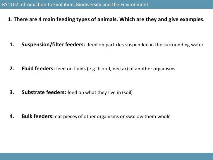 INVERTEBRATE FEEDING TYPES by Judith L. Williams, PhD
