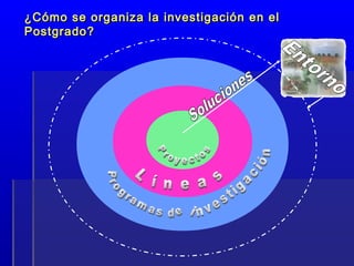 ¿Cómo se organiza la investigación en el¿Cómo se organiza la investigación en el
Postgrado?Postgrado?
 