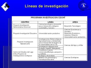 Líneas de investigaciónLíneas de investigación
 