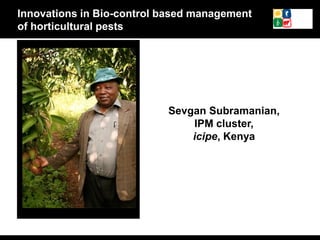 Sevgan Subramanian,
IPM cluster,
icipe, Kenya
Innovations in Bio-control based management
of horticultural pests
 