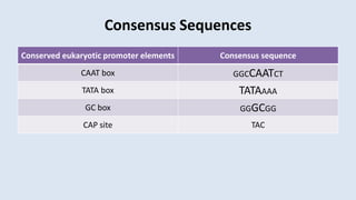 Isolation of promoters and other regularly elements | PPTX