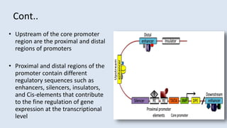Isolation of promoters and other regularly elements | PPTX