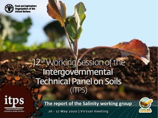 The report of the Salinity working group
 