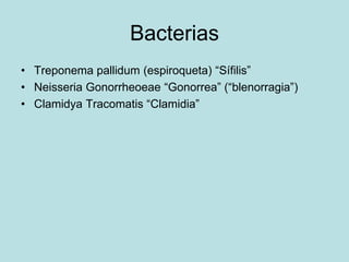 Bacterias
• Treponema pallidum (espiroqueta) “Sífilis”
• Neisseria Gonorrheoeae “Gonorrea” (“blenorragia”)
• Clamidya Tracomatis “Clamidia”
 