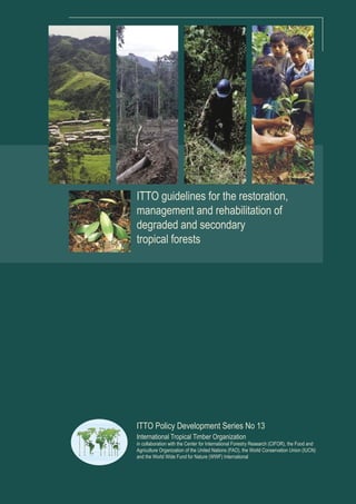 ITTO guidelines for the restoration,
management and rehabilitation of
degraded and secondary
tropical forests




ITTO Policy Development Series No 13
International Tropical Timber Organization
in collaboration with the Center for International Forestry Research (CIFOR), the Food and
Agriculture Organization of the United Nations (FAO), the World Conservation Union (IUCN)
and the World Wide Fund for Nature (WWF) International
 