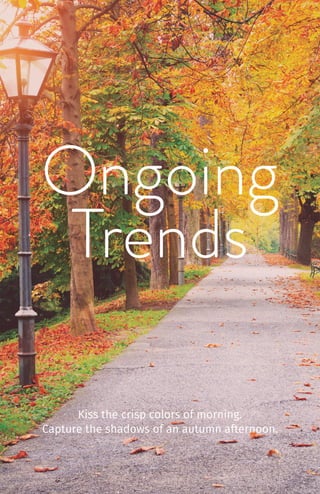 Ongoing
Trends
Kiss the crisp colors of morning.
Capture the shadows of an autumn afternoon.
 