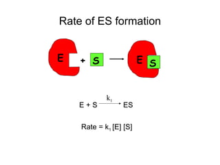 Rate of ES formation 
E + S E S 
k1 
E + S ES 
Rate = k1 [E] [S] 
 