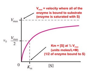 Vmax = velocity where all of the 
enzyme is bound to substrate 
(enzyme is saturated with S) 
Km = [S] at ½ Vmax 
(units moles/L=M) 
(1/2 of enzyme bound to S) 
 