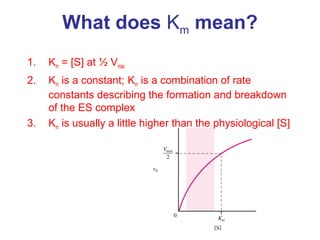 What does Km mean? 
1. Km = [S] at ½ Vmax 
2. Km is a constant; Km is a combination of rate 
constants describing the formation and breakdown 
of the ES complex 
3. Km is usually a little higher than the physiological [S] 
 