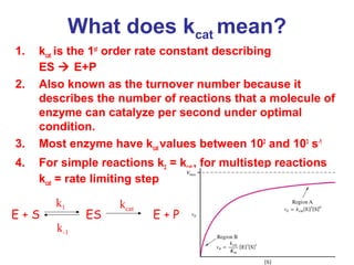 What does kcat mean? 
1. kcat is the 1st order rate constant describing 
ES  E+P 
2. Also known as the turnover number because it 
describes the number of reactions that a molecule of 
enzyme can catalyze per second under optimal 
condition. 
3. Most enzyme have kcat values between 102 and 103 s-1 
4. For simple reactions k2 = kcat , for multistep reactions 
kcat = rate limiting step 
k1 
k-1 
kcat 
E + S ES E + P 
 
