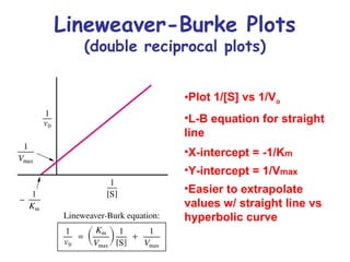 Lineweaver-Burke Plots 
(double reciprocal plots) 
•Plot 1/[S] vs 1/Vo 
•L-B equation for straight 
line 
•X-intercept = -1/Km 
•Y-intercept = 1/Vmax 
•Easier to extrapolate 
values w/ straight line vs 
hyperbolic curve 
 