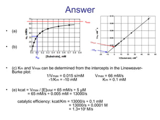 Answer 
• (a) 
• (b) 
• (c) Km and Vmax can be determined from the intercepts in the Lineweaver- 
Burke plot: 
1/Vmax = 0.015 s/mM Vmax = 66 mM/s 
-1/Km = -10 mM Km = 0.1 mM 
• (e) kcat = Vmax / [E]total = 65 mM/s ÷ 5 μM 
= 65 mM/s ÷ 0.005 mM = 13000/s 
catalytic efficiency: kcat/Km = 13000/s ÷ 0.1 mM 
= 13000/s ÷ 0.0001 M 
= 1.3×108 M/s 
 