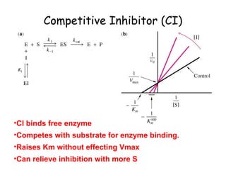 Competitive Inhibitor (CI) 
•CI binds free enzyme 
•Competes with substrate for enzyme binding. 
•Raises Km without effecting Vmax 
•Can relieve inhibition with more S 
 