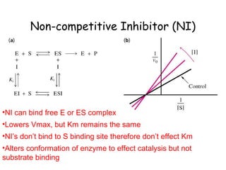 Non-competitive Inhibitor (NI) 
•NI can bind free E or ES complex 
•Lowers Vmax, but Km remains the same 
•NI’s don’t bind to S binding site therefore don’t effect Km 
•Alters conformation of enzyme to effect catalysis but not 
substrate binding 
 