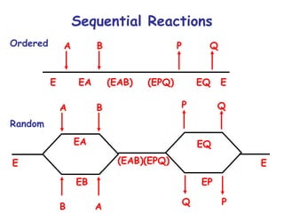 Sequential Reactions 
A B P Q 
E EA (EAB) (EPQ) EQ E 
A B 
B A Q P 
E 
EA 
EB 
(EAB)(EPQ) 
P Q 
EQ 
EP 
E 
Ordered 
Random 
 