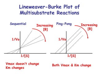 Lineweaver-Burke Plot of 
Multisubstrate Reactions 
Increasing 
[B] 
Increasing 
[B] 
Sequential Ping-Pong 
Vmax doesn’t change 
Km changes 
Both Vmax & Km change 
1/Vo 
1/[S] 
1/Vo 
1/[S] 
