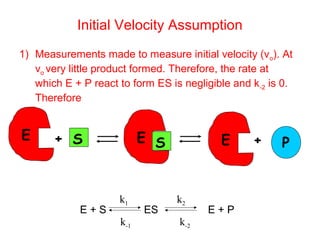 Initial Velocity Assumption 
1) Measurements made to measure initial velocity (vo). At 
vo very little product formed. Therefore, the rate at 
which E + P react to form ES is negligible and k-2 is 0. 
Therefore 
E + S E S 
k1 
k-1 
k2 
E + S ES E + P 
k-2 
E + P 
 