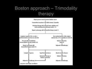 Boston approach – Trimodality therapy