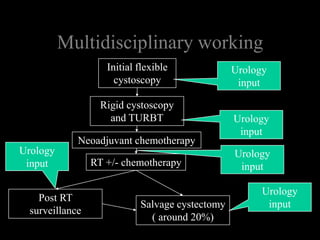 Multidisciplinary workingInitial flexible cystoscopyUrology inputRigid cystoscopy and TURBTUrology inputNeoadjuvant chemotherapyUrology inputUrology inputRT +/- chemotherapyUrology inputPost RT surveillanceSalvage cystectomy ( around 20%)