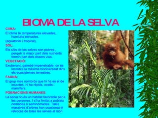BIOMA DE LA SELVA ClIMA: El clima té temperatures elevades, humitats elevades. (equatorial i tropical). SÒL: Els sòls de les selves son pobres , perquè la major part dels nutrients formin part dels éssers vius. VEGETACIÓ: Exuberant, gairebé impenetrable, on és localitza la màxima biodiversitat dins els ecosistemes terrestres. FAUNA: El grup mes nombrós que hi ha es el de insectes, hi ha rèptils, ocells i mamífers. POBRACIONS HUMANES : La selva no és un habitat favorable per a les persones. I s’ha limitat a poblats nòmades o seminòmades. Tales massives d’arbres han ocasionat el retrocés de totes les selves al món. 