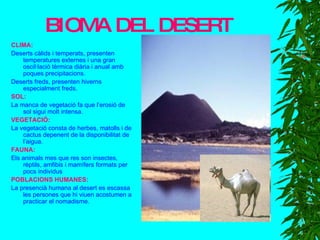 BIOMA DEL DESERT CLIMA: Deserts càlids i temperats, presenten temperatures externes i una gran oscil·lació tèrmica diària i anual amb poques precipitacions. Deserts freds, presenten hiverns especialment freds. SOL: La manca de vegetació fa que l’erosió de sol sigui molt intensa. VEGETACIÓ: La vegetació consta de herbes, matolls i de cactus depenent de la disponibilitat de l’aigua. FAUNA: Els animals mes que res son insectes, rèptils, amfibis i mamífers formats per pocs individus POBLACIONS HUMANES: La presencià humana al desert es escassa les persones que hi viuen acostumen a practicar el nomadisme. 