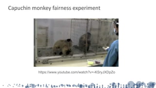 Capuchin monkey fairness experiment
https://www.youtube.com/watch?v=-KSryJXDpZo
 