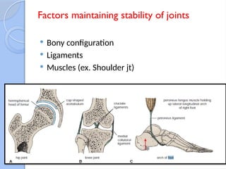 4 Joints of human body(arthrology)-general anatomy | PPTX