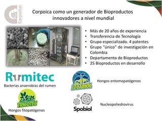 La Bioeconomía y la investigación: ejes fundamentales para el desarrollo territorial de Colombia