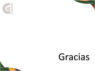 La Bioeconomía y la investigación: ejes fundamentales para el desarrollo territorial de Colombia