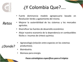 La Bioeconomía y la investigación: ejes fundamentales para el desarrollo territorial de Colombia