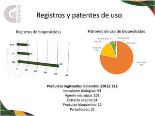 La Bioeconomía y la investigación: ejes fundamentales para el desarrollo territorial de Colombia