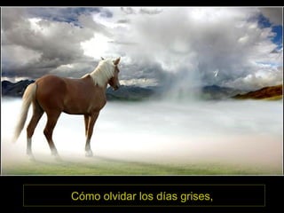 Cómo olvidar los días grises,