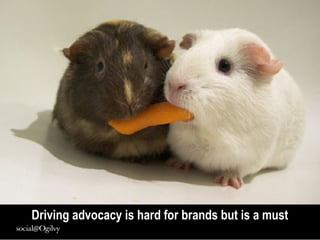 Driving advocacy is hard for brands but is a must
 