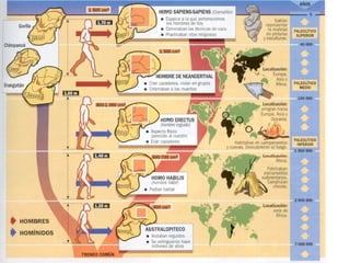 Presentación Tema 5. Evolución II