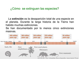 ¿Cómo se extinguen las especies?
La extinción es la desaparición total de una especie en
el planeta. Durante la larga historia de la Tierra han
habido muchas extinciones.
Se han documentado por lo menos cinco extinciones
masivas.
 