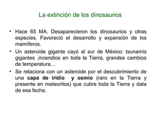 La extinción de los dinosaurios
• Hace 65 MA. Desaparecieron los dinosaurios y otras
especies. Favoreció el desarrollo y expansión de los
mamíferos.
• Un asteroide gigante cayó al sur de México: tsunamis
gigantes ,incendios en toda la Tierra, grandes cambios
de temperatura…
• Se relaciona con un asteroide por el descubrimiento de
una capa de iridio y osmio (raro en la Tierra y
presente en meteoritos) que cubre toda la Tierra y data
de esa fecha.
 