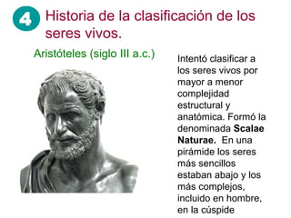 4
Aristóteles (siglo III a.c.) Intentó clasificar a
los seres vivos por
mayor a menor
complejidad
estructural y
anatómica. Formó la
denominada Scalae
Naturae. En una
pirámide los seres
más sencillos
estaban abajo y los
más complejos,
incluido en hombre,
en la cúspide
Historia de la clasificación de los
seres vivos.
 