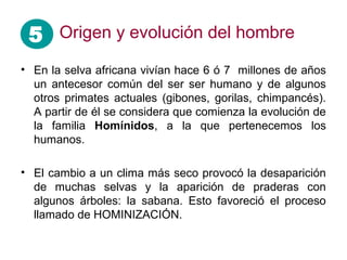 • En la selva africana vivían hace 6 ó 7 millones de años
un antecesor común del ser ser humano y de algunos
otros primates actuales (gibones, gorilas, chimpancés).
A partir de él se considera que comienza la evolución de
la familia Homínidos, a la que pertenecemos los
humanos.
• El cambio a un clima más seco provocó la desaparición
de muchas selvas y la aparición de praderas con
algunos árboles: la sabana. Esto favoreció el proceso
llamado de HOMINIZACIÓN.
5 Origen y evolución del hombre
 